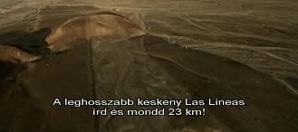 nazca 23